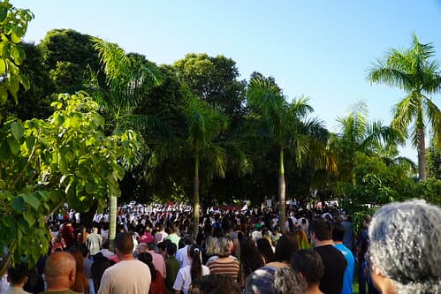 MDP00931